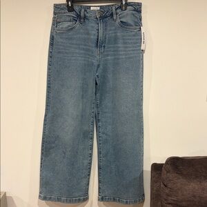 Hudson Jolene Wide-Leg Risqué Jeans Sz 29 - 32” Inseam